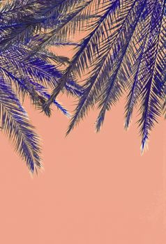 Palm tree leaves on top on color Living Coral sky background