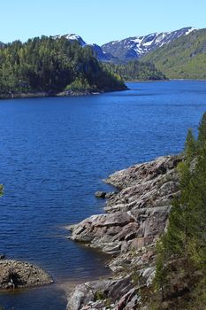 Summer Norway landscape with forest mountains and fjord