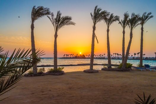 Sunrise on a peninsula of Hurghada across a row of palm trees on the Red Sea in Egypt