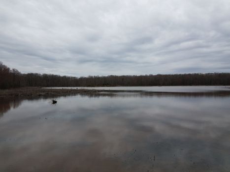 water and trees and clouds in wetland or swamp area