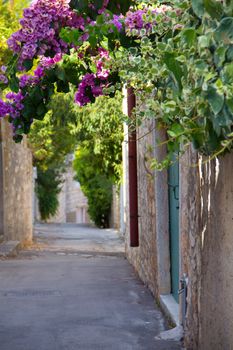 Old street with flowers in Supetar town in Brac island, Croatia.