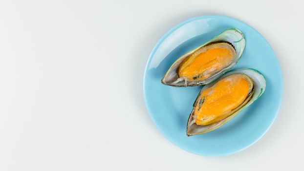 top view green mussel on blue plate over white background with copy space