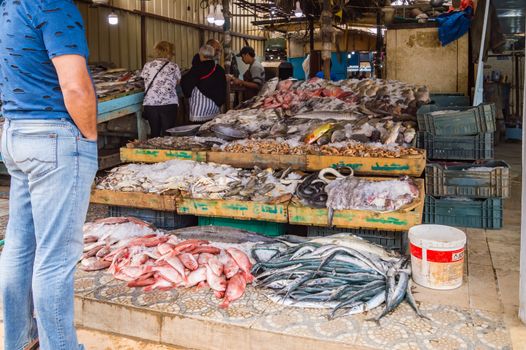 Display of different fishes fishing in the Red Sea on the walk of the old marina of the city of Hurghada in Egypt