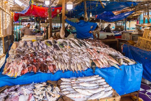 Display of different fishes fishing in the Red Sea on the walk of the old marina of the city of Hurghada in Egypt