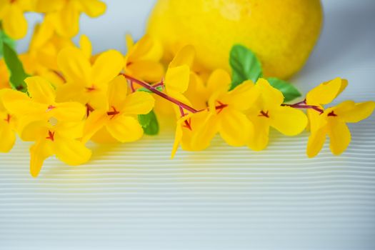 flowers made of artificial materials yellow, acacia flowers