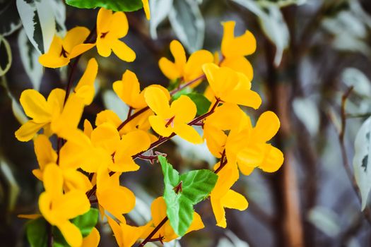 flowers made of artificial materials yellow, acacia flowers