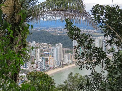 View of city by the sea with buildings in the background and with trees in the foreground on sunny day
