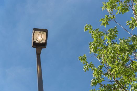 Close-up look-up view of street lighting with light comes on during the daytime. Concept for waste of electricity. Light pole supports for ceilings with led lamps under cloud blue sky