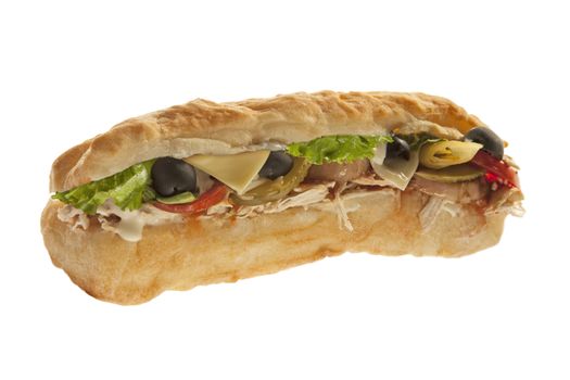 Delicious sub hoagie sandwich with meat and veggies