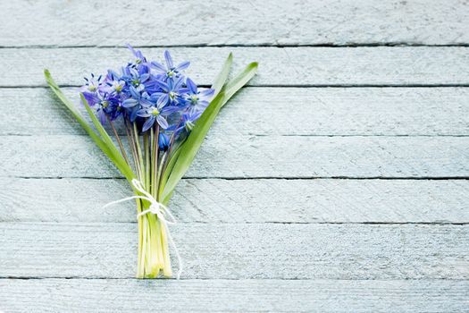 A bouquet of blue flowers on a wooden background, spring flowers on a light wooden background, a bouquet of flowers for the spring holidays