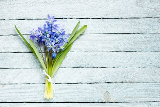 A bouquet of blue flowers on a wooden background, spring flowers on a light wooden background, a bouquet of flowers for the spring holidays