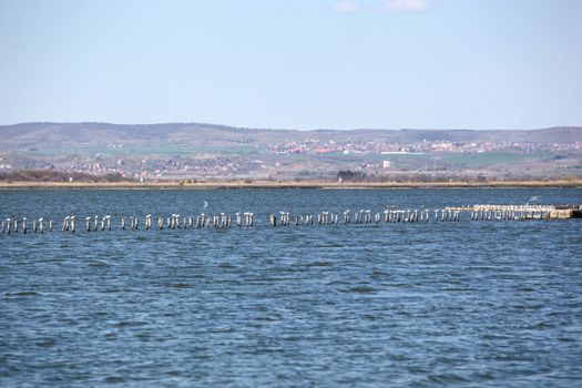 View To The Beautiful Pomorie Lake