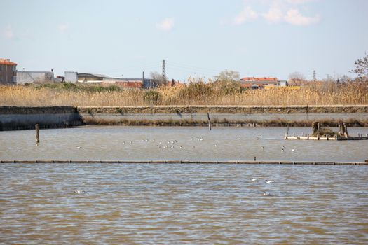 View To The Beautiful Pomorie Lake