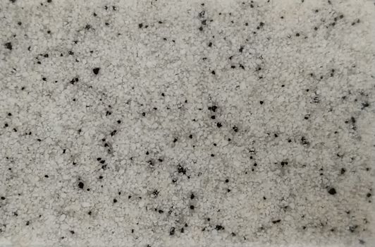 White granite with black splashes of the small fraction. Background, texture.