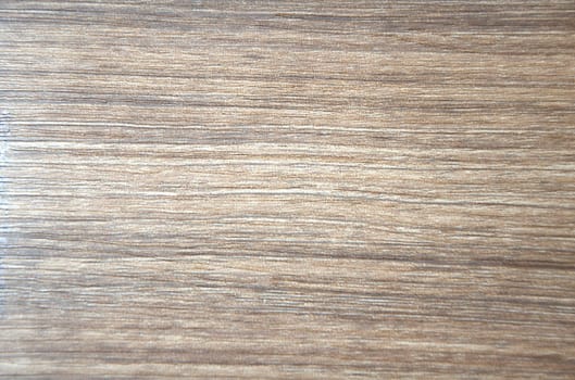 The texture of natural aged oak. Background, texture