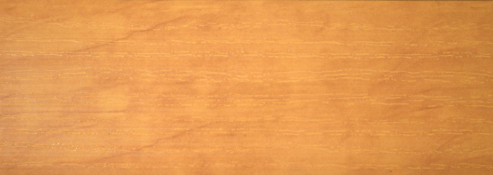 Natural wood sawed close-up. Background. Texture. Closr up shot