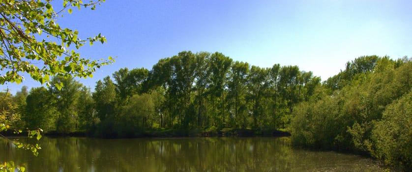 The view of the forest lake, the shores are reflected in the calm surface of the water. The picture was taken on a warm spring day, with natural light.