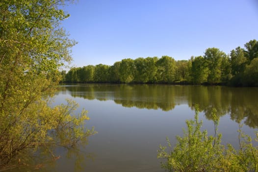 The view of the forest lake, the shores are reflected in the calm surface of the water. The picture was taken on a warm spring day, with natural light.