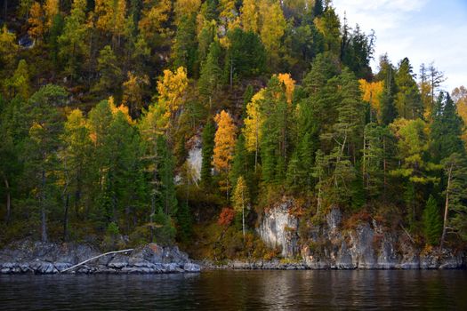 East rocky shore of Lake Teletskoye, cliffs covered with a beautiful forest. The picture was taken on an autumn day, with natural light.