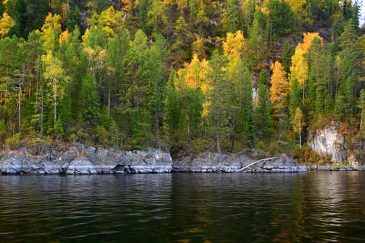 East rocky shore of Lake Teletskoye, cliffs covered with a beautiful forest. The picture was taken on an autumn day, with natural light.