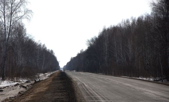 Dirty asphalt road in the forest.