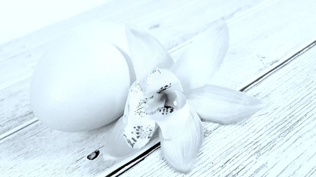Easter egg and flower on a bright white background. Close-up.