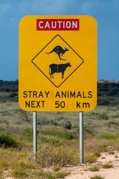 Caution stray animals next 50 km road sign in Outback Australia