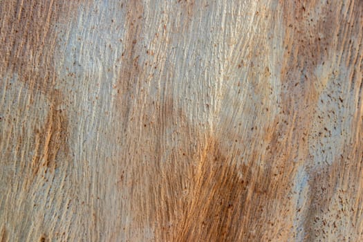 scratched wood surface texture. multi colored and old texture.