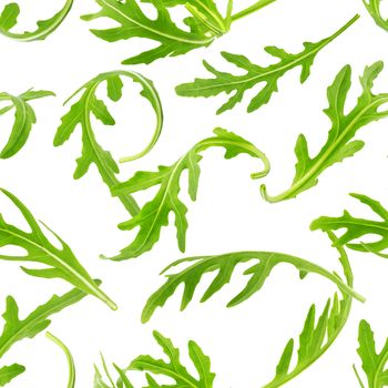 Rucola seamless pattern. Arugula leaves isolated on white background with clipping path