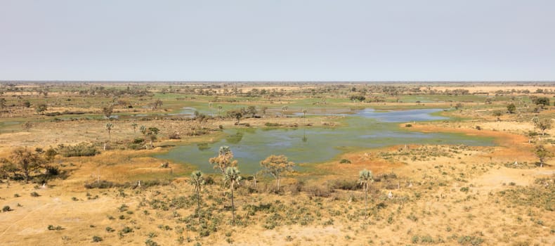 Okavango Delta aerial view, Botswana's stunning landscape