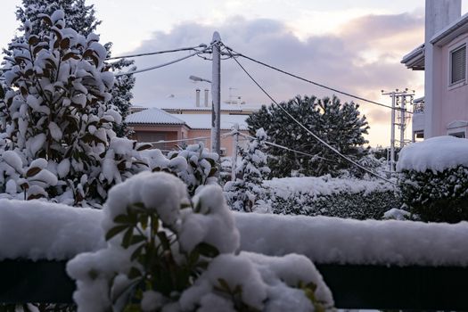 Winter yard with snowed trees, Athens, Greece