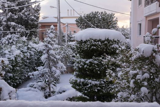 Winter yard with snowed trees, Athens, Greece