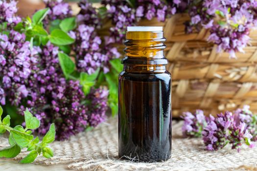 A bottle of essential oil with fresh blooming oregano twigs