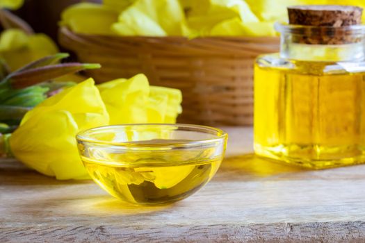 Evening primrose oil with fresh blooming plant 