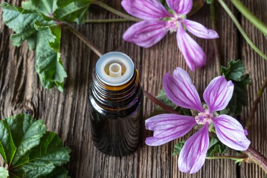 A bottle of mallow essential oil with fresh blooming malva sylvestris plant