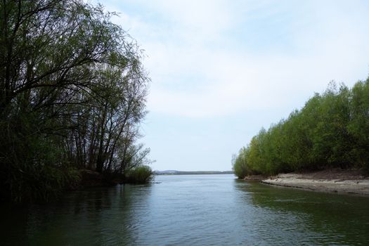 The spring season arrived on the islands and arms of the Danube river
Wildlife, willows forests and poplar forests, fish, birds and boars, the whole nature enjoys the green season.