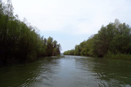The spring season arrived on the islands and arms of the Danube river
Wildlife, willows forests and poplar forests, fish, birds and boars, the whole nature enjoys the green season.