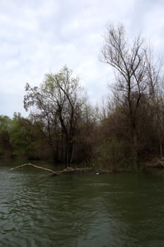 The spring season arrived on the islands and arms of the Danube river
Wildlife, willows forests and poplar forests, fish, birds and boars, the whole nature enjoys the green season.