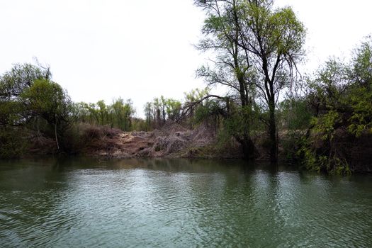 The spring season arrived on the islands and arms of the Danube river
Wildlife, willows forests and poplar forests, fish, birds and boars, the whole nature enjoys the green season.