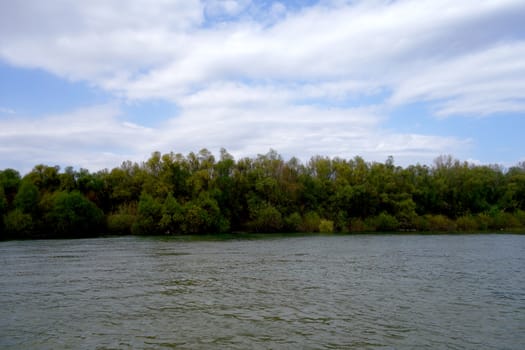 The spring season arrived on the islands and arms of the Danube river
Wildlife, willows forests and poplar forests, fish, birds and boars, the whole nature enjoys the green season.
