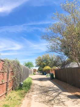Empty back alley in residential neighborhood with wooden fence with vines and trash, recycle bin. Quiet suburban area near Dallas, Texas, USA