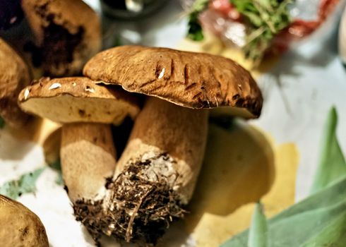 mushrooms with the Latin name Boletus edulis lie on the table