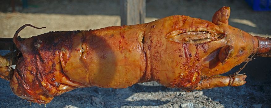 Whole pig on stick roasting under open fire