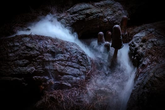 Spooky Halloween Scene Of Mushrooms In A Haunted Forest With Fog Lit By Moonlight