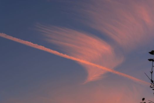 Cloudscape, white clouds in the summer sky