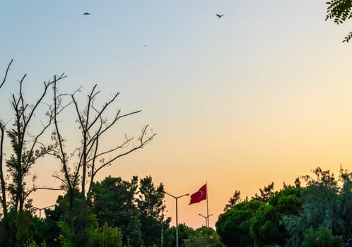 a good looking skyscape shoot at sunset - there is trees and turkish flag. photo has taken from izmir/turkey.