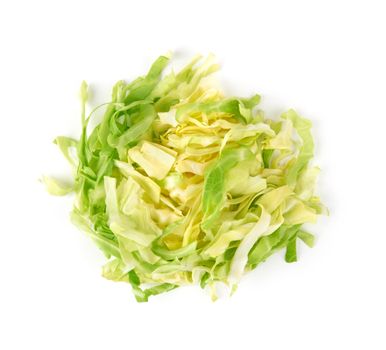 green cabbage isolated on a white background