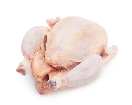 Raw fresh chicken isolated on white background