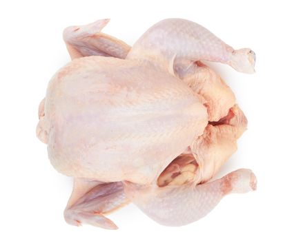 Raw fresh chicken isolated on white background