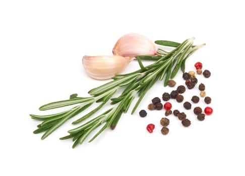 Fresh rosemary isolated on white background